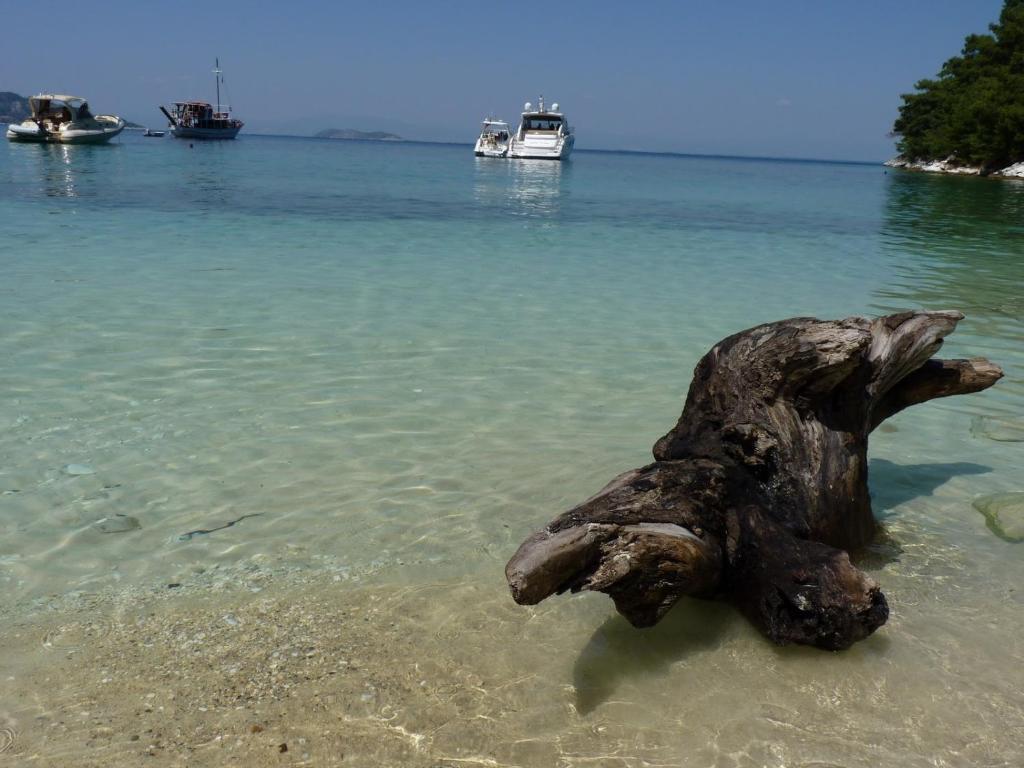 The George - Hospitality Beyond Limenaria (Thasos) Exterior foto
